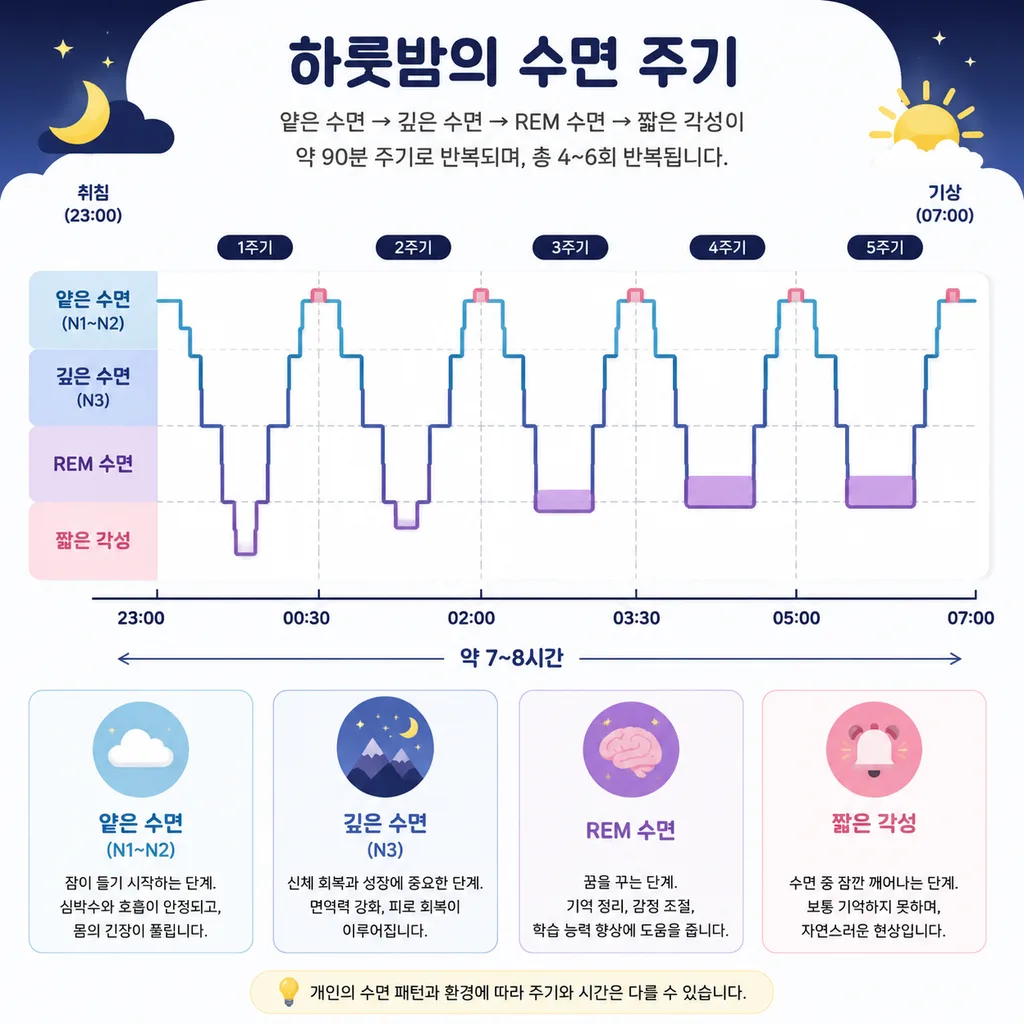 REM 수면과 비REM 수면이 반복되는 수면 주기 타임라인